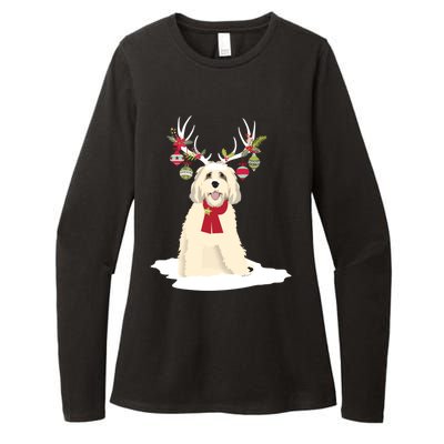 Cute Labradoodle Doodle Christmas Reindeer Graphic Holiday Gift Womens CVC Long Sleeve Shirt