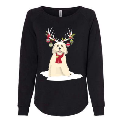 Cute Labradoodle Doodle Christmas Reindeer Graphic Holiday Gift Womens California Wash Sweatshirt