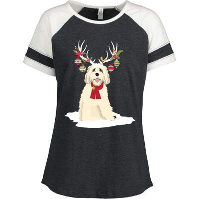 Cute Labradoodle Doodle Christmas Reindeer Graphic Holiday Gift Enza Ladies Jersey Colorblock Tee