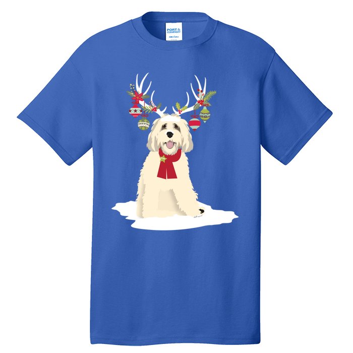 Cute Labradoodle Doodle Christmas Reindeer Graphic Holiday Gift Tall T-Shirt