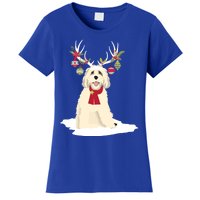 Cute Labradoodle Doodle Christmas Reindeer Graphic Holiday Gift Women's T-Shirt