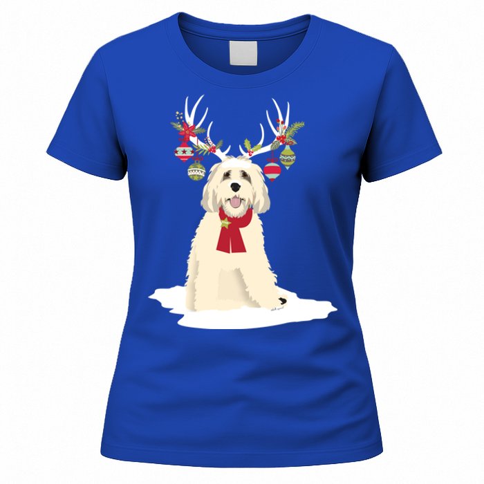 Cute Labradoodle Doodle Christmas Reindeer Graphic Holiday Gift Women's T-Shirt