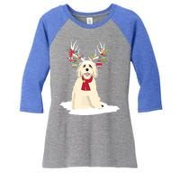 Cute Labradoodle Doodle Christmas Reindeer Graphic Holiday Gift Women's Tri-Blend 3/4-Sleeve Raglan Shirt