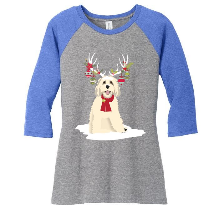 Cute Labradoodle Doodle Christmas Reindeer Graphic Holiday Gift Women's Tri-Blend 3/4-Sleeve Raglan Shirt