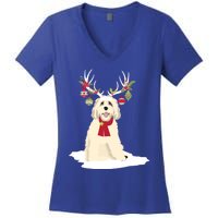 Cute Labradoodle Doodle Christmas Reindeer Graphic Holiday Gift Women's V-Neck T-Shirt