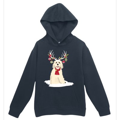 Cute Labradoodle Doodle Christmas Reindeer Graphic Holiday Gift Urban Pullover Hoodie