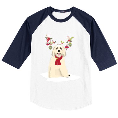 Cute Labradoodle Doodle Christmas Reindeer Graphic Holiday Gift Baseball Sleeve Shirt