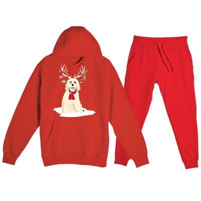 Cute Labradoodle Doodle Christmas Reindeer Graphic Holiday Gift Premium Hooded Sweatsuit Set