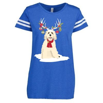 Cute Labradoodle Doodle Christmas Reindeer Graphic Holiday Gift Enza Ladies Jersey Football T-Shirt