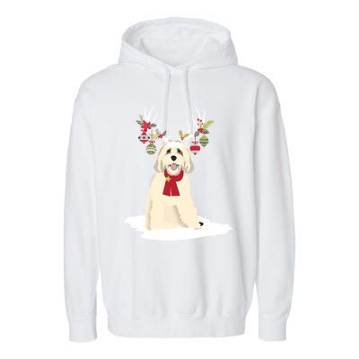 Cute Labradoodle Doodle Christmas Reindeer Graphic Holiday Gift Garment-Dyed Fleece Hoodie