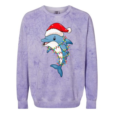 Christmas Lights Dolphin Wearing Xmas Hat Dolphin Lover Colorblast Crewneck Sweatshirt