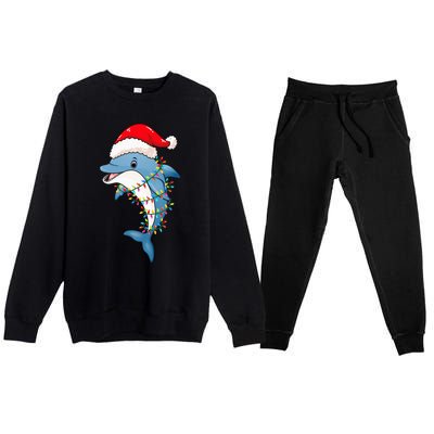 Christmas Lights Dolphin Wearing Xmas Hat Dolphin Lover Premium Crewneck Sweatsuit Set