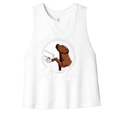 Chocolate Labrador Design Funny Chocolate Labrador Lovers Women's Racerback Cropped Tank