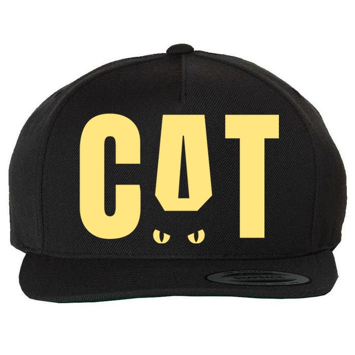 Cat Lover Ears Cute Gift Wool Snapback Cap