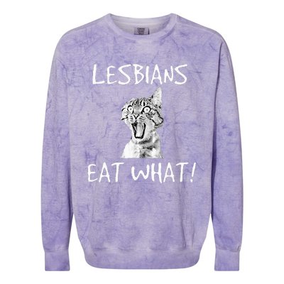 Cat Lesbians Eat What Colorblast Crewneck Sweatshirt