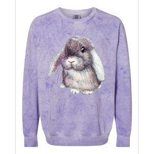 Cute Lop Eared Bunny Rabbit Artwork Funny Gift Colorblast Crewneck Sweatshirt