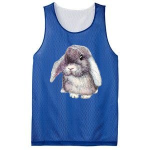 Cute Lop Eared Bunny Rabbit Artwork Funny Gift Mesh Reversible Basketball Jersey Tank