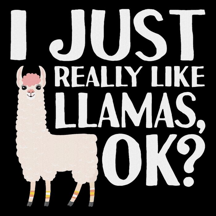 Cool Llama For Women Alpaca Lover Peruvian Spirit Animal Sweatshirt