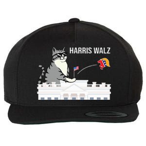 Cat Ladies For Kamala Harris Wool Snapback Cap