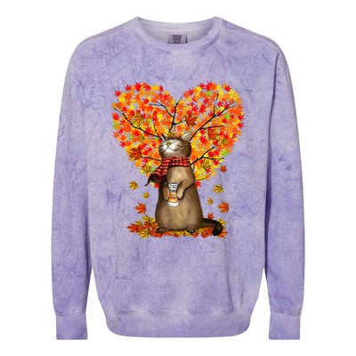 Cat Leaf Fall Hello Autumn Cat Kitten Lover Thanksgiving Colorblast Crewneck Sweatshirt