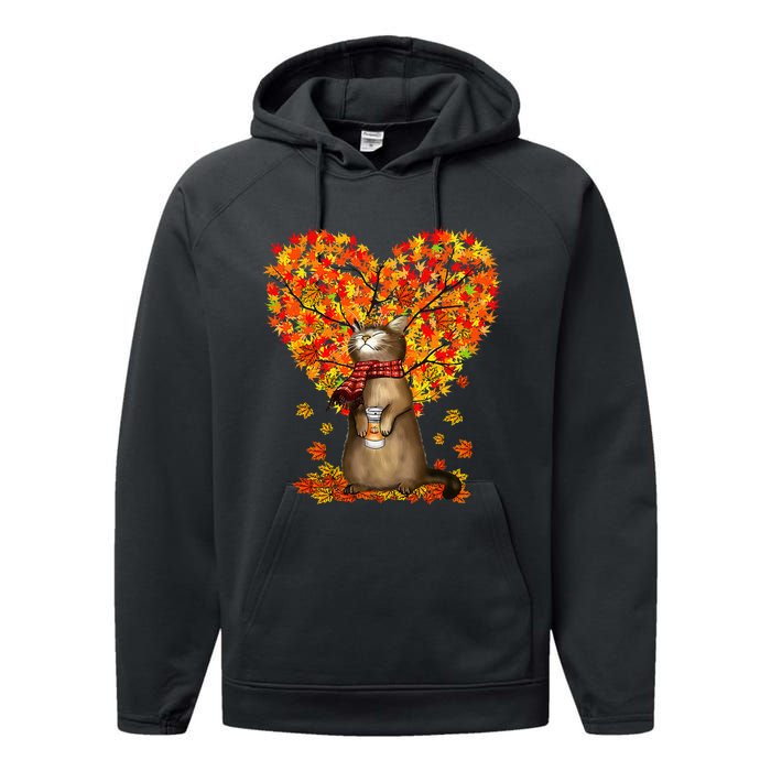 Cat Leaf Fall Hello Autumn Cat Kitten Lover Thanksgiving Performance Fleece Hoodie