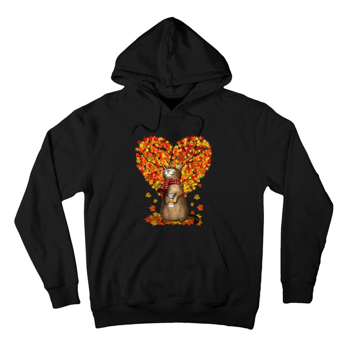 Cat Leaf Fall Hello Autumn Cat Kitten Lover Thanksgiving Hoodie