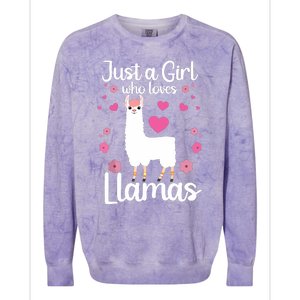 Cute Llama For Girl Farming Llama Lovers Alpaca Farm Colorblast Crewneck Sweatshirt