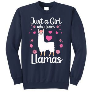 Cute Llama For Girl Farming Llama Lovers Alpaca Farm Sweatshirt