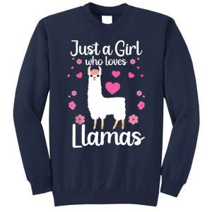 Cute Llama For Girl Farming Llama Lovers Alpaca Farm Tall Sweatshirt