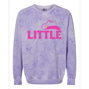 Cute Little Funny Family Matching Gbig Big Little Sorority Colorblast Crewneck Sweatshirt