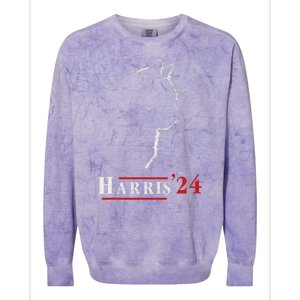 Cat Ladies For Kamala Funny Cat 2024 President Kamalaharris Colorblast Crewneck Sweatshirt