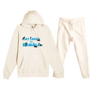 Cat Ladies For Kamala Childless Cat Ladies Premium Hooded Sweatsuit Set