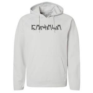 Cat Lady For Kamala Harris 2024 Cat Lettering Cat Ladies Performance Fleece Hoodie