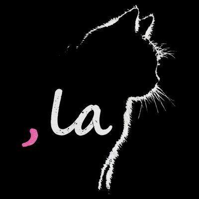 Cat Ladies For Kamala Harris For President 2024 Comma La T-Shirt
