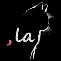Cat Ladies For Kamala Harris For President 2024 Comma La Visor