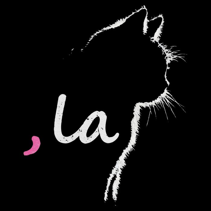 Cat Ladies For Kamala Harris For President 2024 Comma La Visor