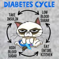 Cat Lover Funny Diabetes Cycle Awareness Tall T-Shirt