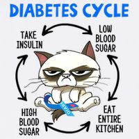 Cat Lover Funny Diabetes Cycle Awareness Women's V-Neck T-Shirt
