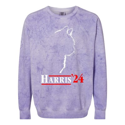 Cat Ladies For Kamala Funny Cat 2024 President Kamalaharris Colorblast Crewneck Sweatshirt