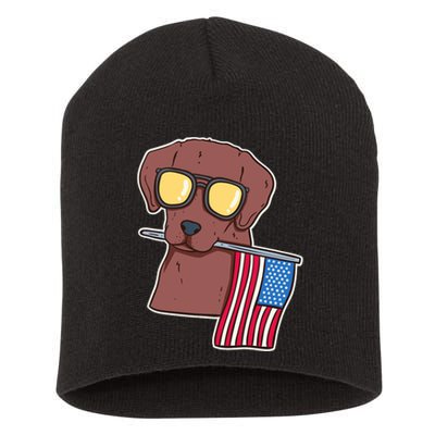 Chocolate Lab For 4th Of July Short Acrylic Beanie