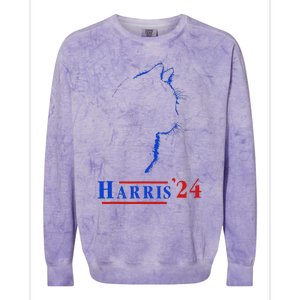 Cat Ladies For Kamala Funny Cat 2024 President Kamala Harris Colorblast Crewneck Sweatshirt