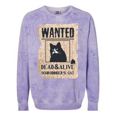 Cats Lovers Funny And Alive SchrodingerS Cat Lover Colorblast Crewneck Sweatshirt