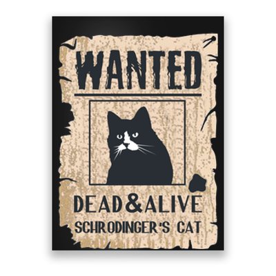 Cats Lovers Funny And Alive SchrodingerS Cat Lover Poster