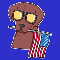 Chocolate Lab For 4th Of July Mousepad