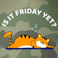 Cat Lover Funny Sleepy Cat Is It Friday Yet Cat Nap Legacy Tie Dye Trucker Hat