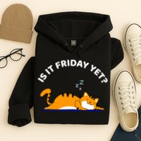 Cat Lover Funny Sleepy Cat Is It Friday Yet Cat Nap Hoodie