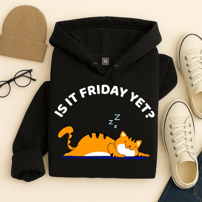 Cat Lover Funny Sleepy Cat Is It Friday Yet Cat Nap Hoodie