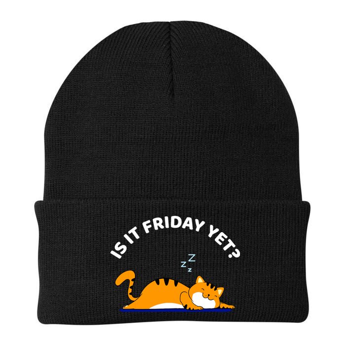 Cat Lover Funny Sleepy Cat Is It Friday Yet Cat Nap Beanie