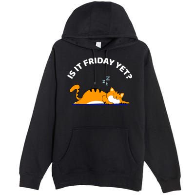 Cat Lover Funny Sleepy Cat Is It Friday Yet Cat Nap Premium Pullover Hoodie