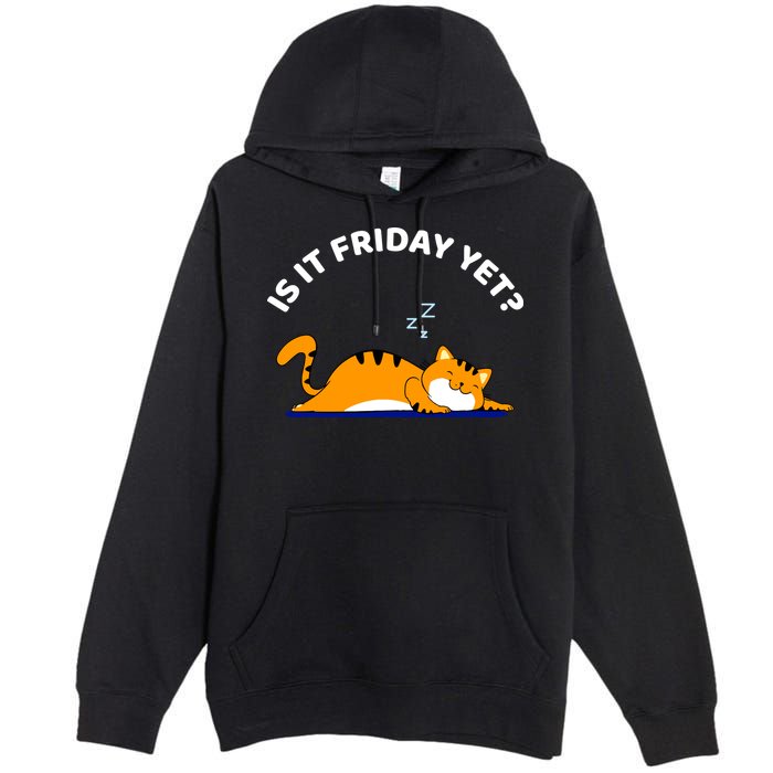 Cat Lover Funny Sleepy Cat Is It Friday Yet Cat Nap Premium Pullover Hoodie